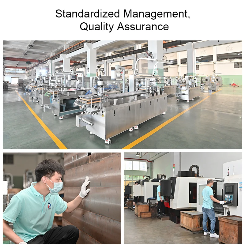 DPP160Pro Full Automatic Tablet Pill Capsule Blister Packaging Machine For Automated Packing Tablets Plate