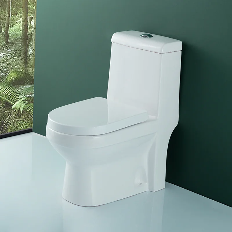 WDSI Water Less Toilet Bathroom Sanitary Ware And Accessories Toile