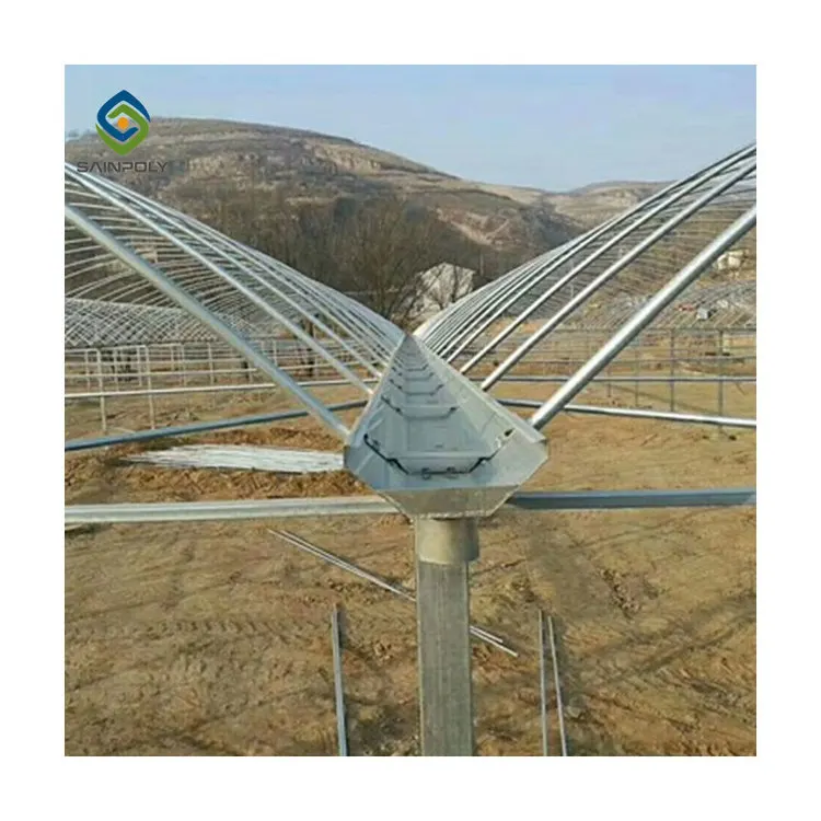 Multi-span agricultural plastic products plastic shed film green houses greenhouse with hydroponic growing systems