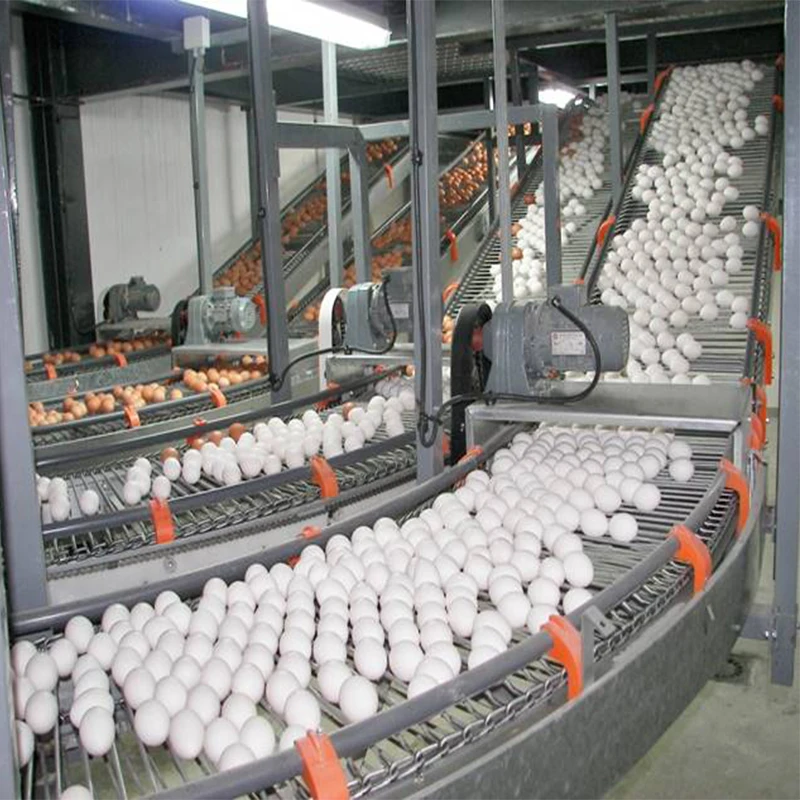 Дешевый и прочный двухэтажный ферментный сарай конструкция стальной конструкции сборная стальная мастерская куриная ферма