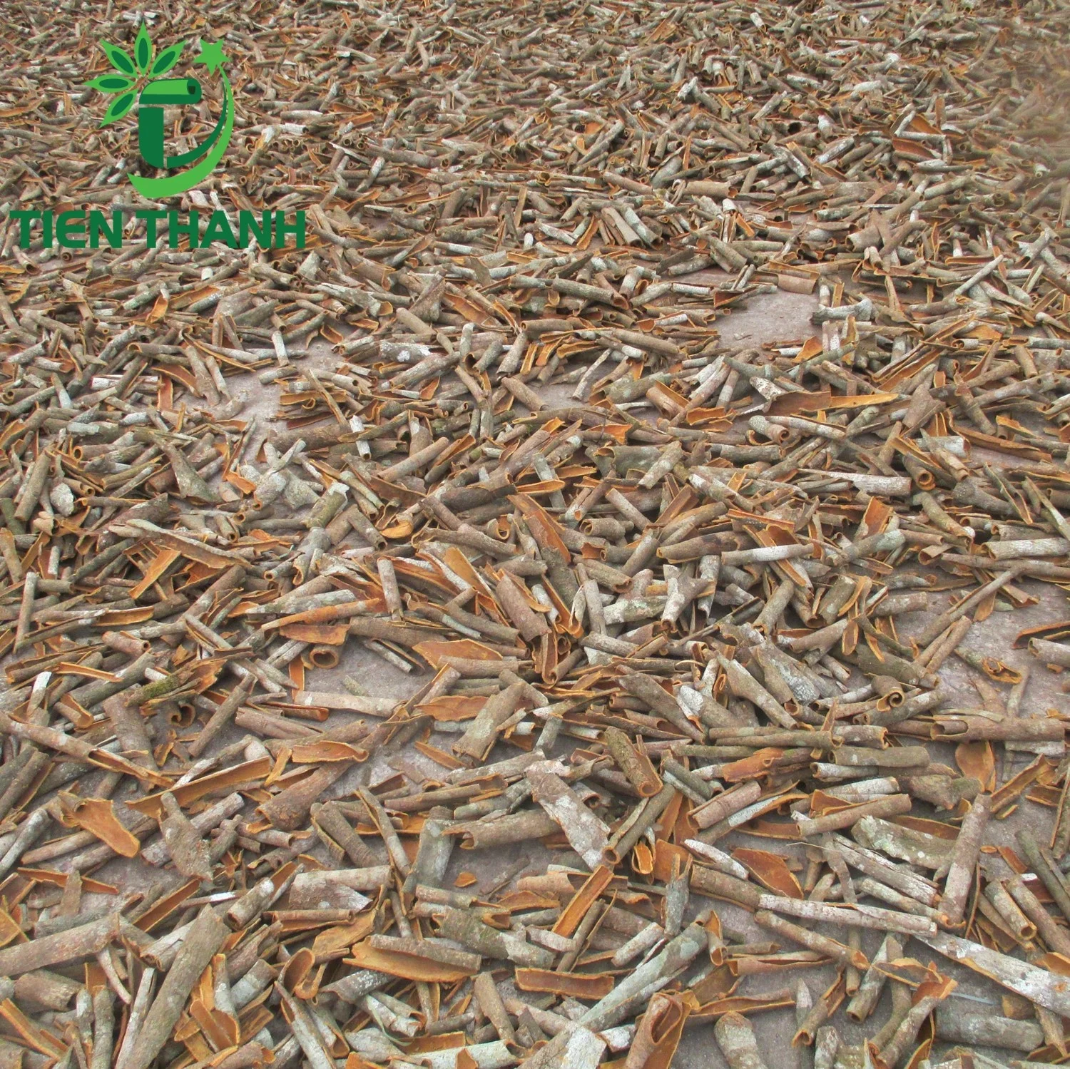 Dalchini Broken/ Dal Cheeni Spices/ Dried Dalchini New Crop 2021