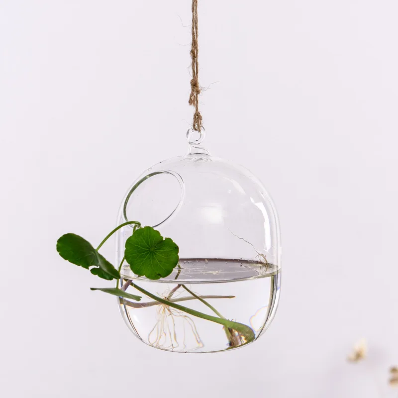3 types glass hanging planter terrarium