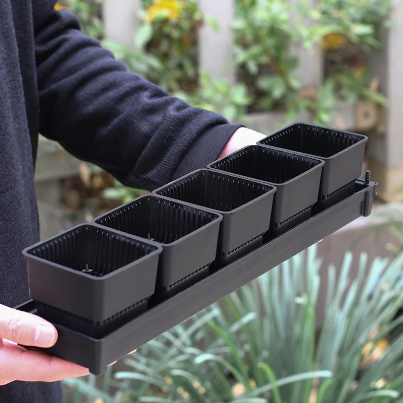 Square Plastic Flower Pots with tray for Starting Seedlings, or Succulents cactus plants