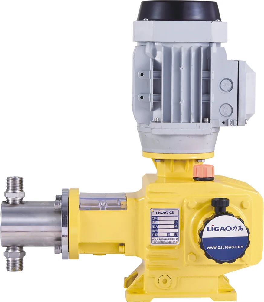 Precision Plunger Metering Pump
