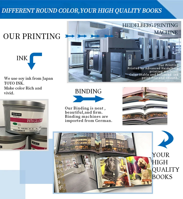 Professional Book Print High Quality Customized Design Softcover Book English Brochure