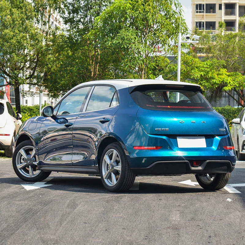 2024 TOPSUN Mini Electric Car Good Cat 401 Kilometers Euler Haomao Ora Ola Series New Energy Vehicle