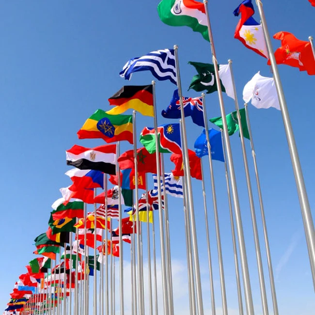 Factory customized Oman car flag Syria Netherlands Germany Kuwait Sri Lanka Russia blank car window flag clip rear window