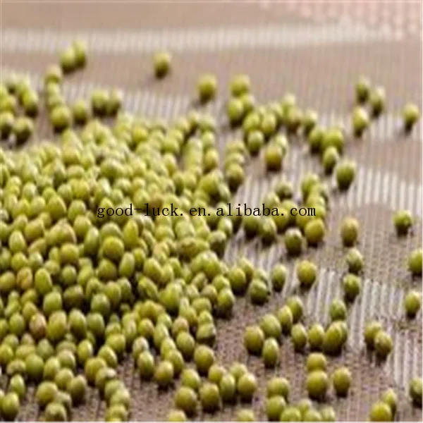 Mung Beans Bulk Green Mung Beans For Sale