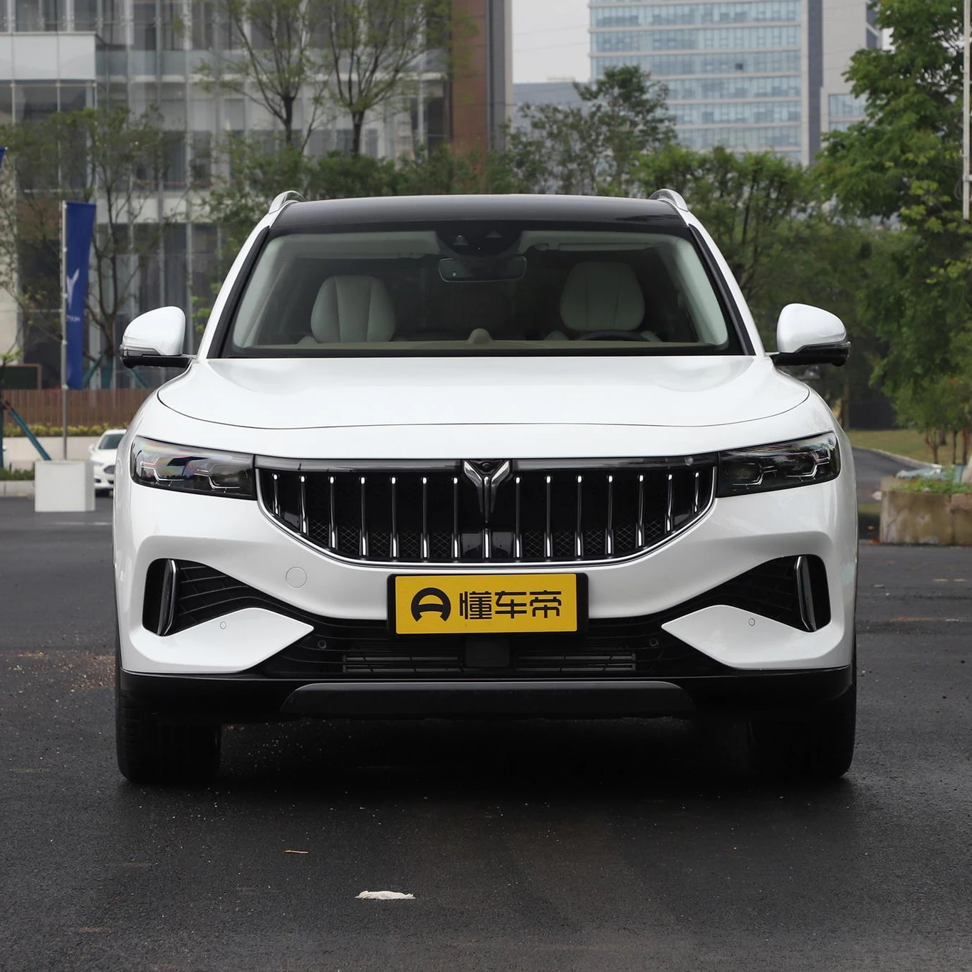 2022  VOYAH free big size electric SUV 800 km range hybrid extended range super high speed 200km/h 4WD electric vehicles