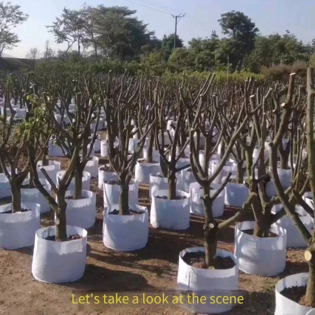 Sell Cheap 2 3 5 7 10 15 20 Or Accept Custom Sized White Pepper Planting Bags Growing Fruit Protection Paper Bag Making Machine