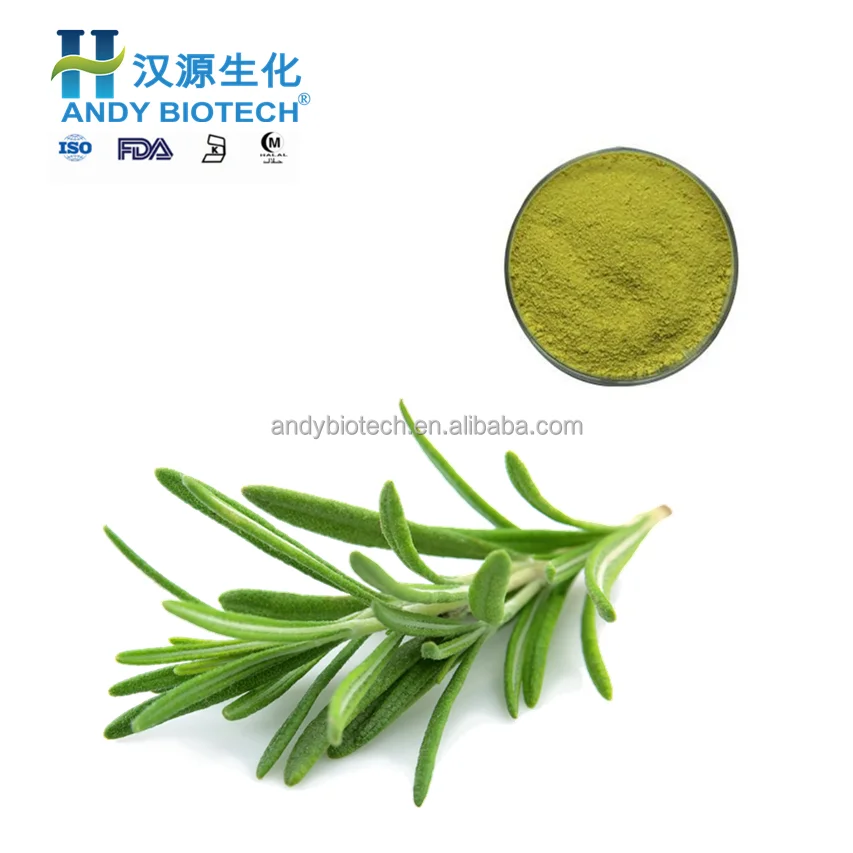 Органические листья розмарина P.E. экстракт карнозная кислота