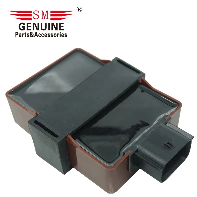 Motorcycle ignition parts 12 pin 200cc bajaj pulsar NS 200 ROUSER 200 Ns200 PULSAR200NS motorcycle cdi racing cdi unit