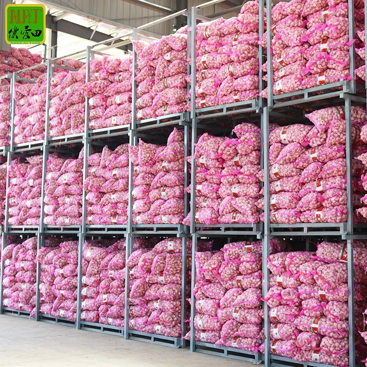 Top grade high quality fresh snow white garlic super white 3P 4P 5P 6Pin carton small package boxed factory price white garlic