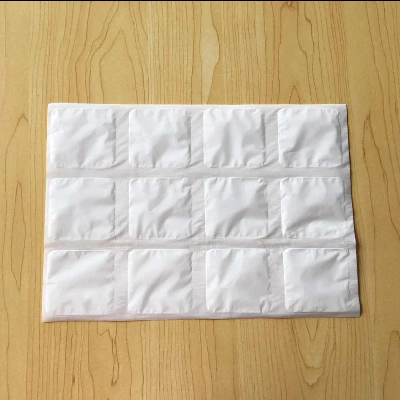 Cold Chain Insulation Transport Ice Pack For Food Seafood Fishing Dry Ice Sheet Bio Pharmacy Hydrated Ice Pack