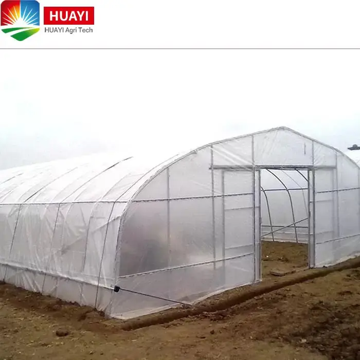 Hot Galvanized Steel Frame Agricultural Single Span PE/PO Film Plastic Tunnel Greenhouse For Tomato Vegetables Growing