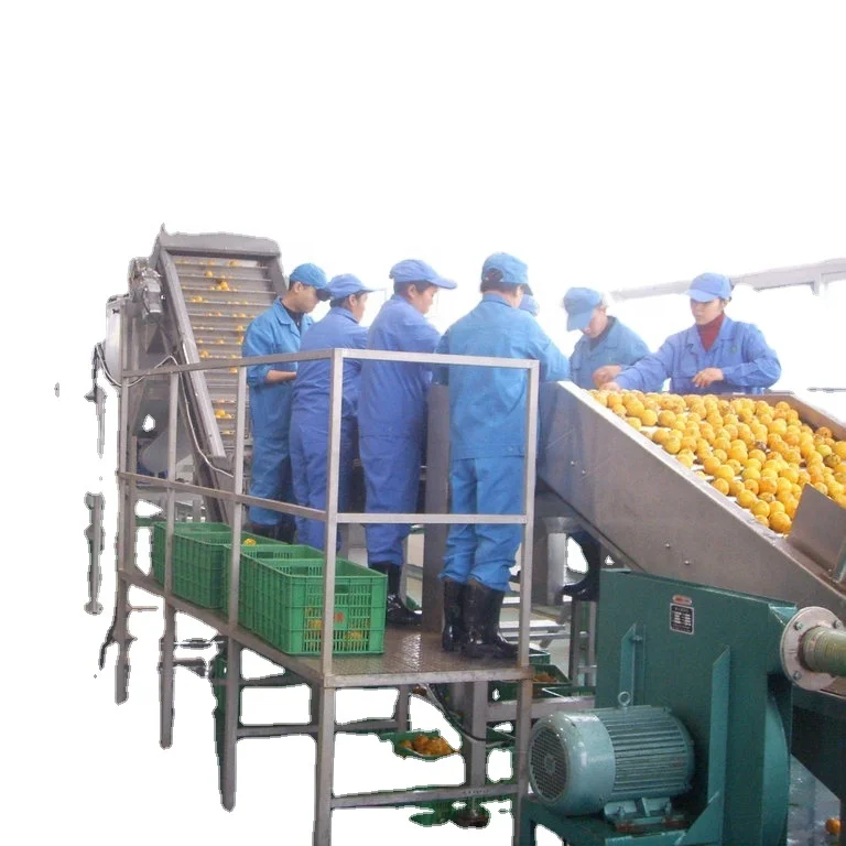 Lemon juice processing line with lemon oil pressing system