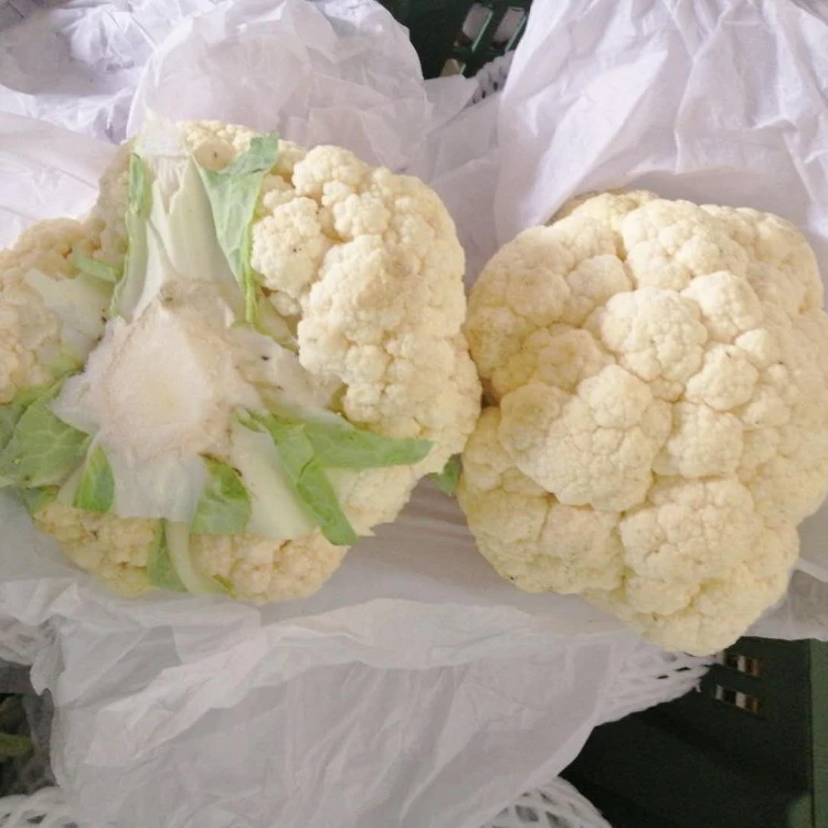 New Chinese  crop Fresh Cauliflower all year round wholesale cheap price