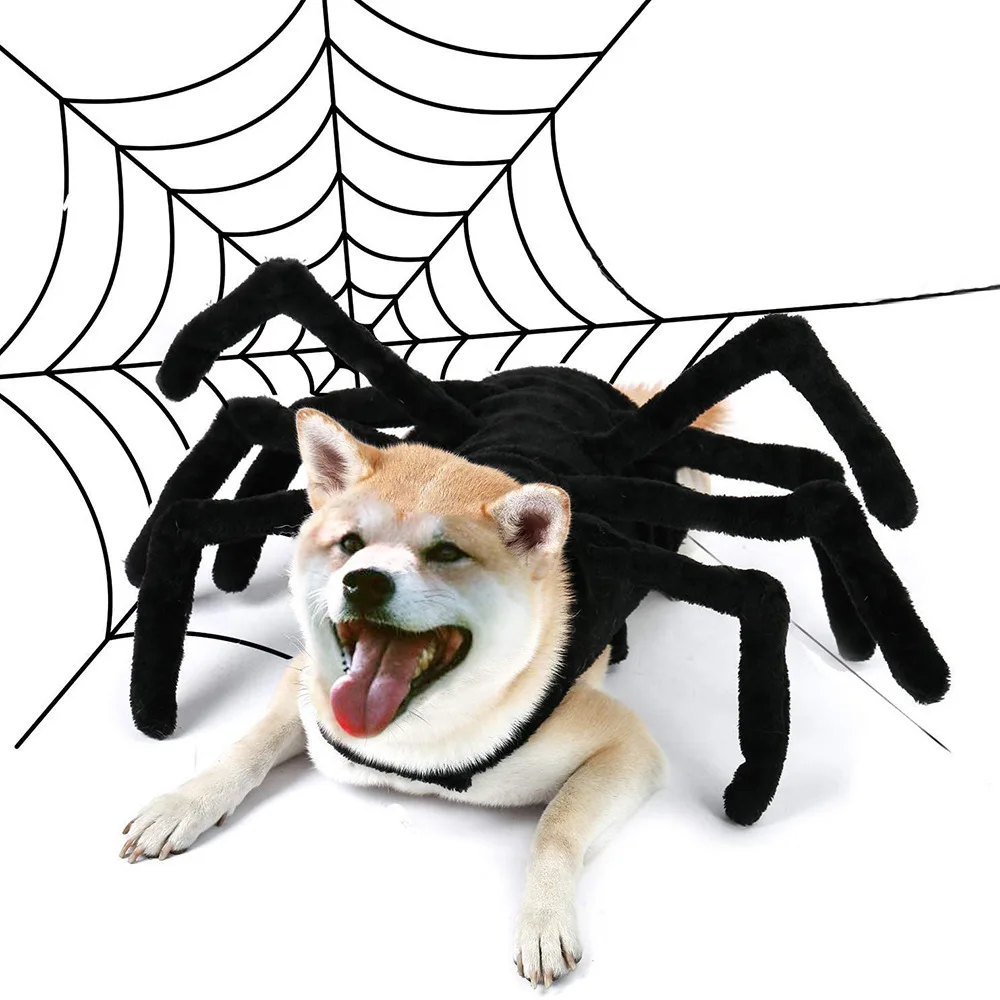 Wholesale Pet Halloween Funny Spider Chest Back Creative Cat Dog Small Dog Transformed Clothing