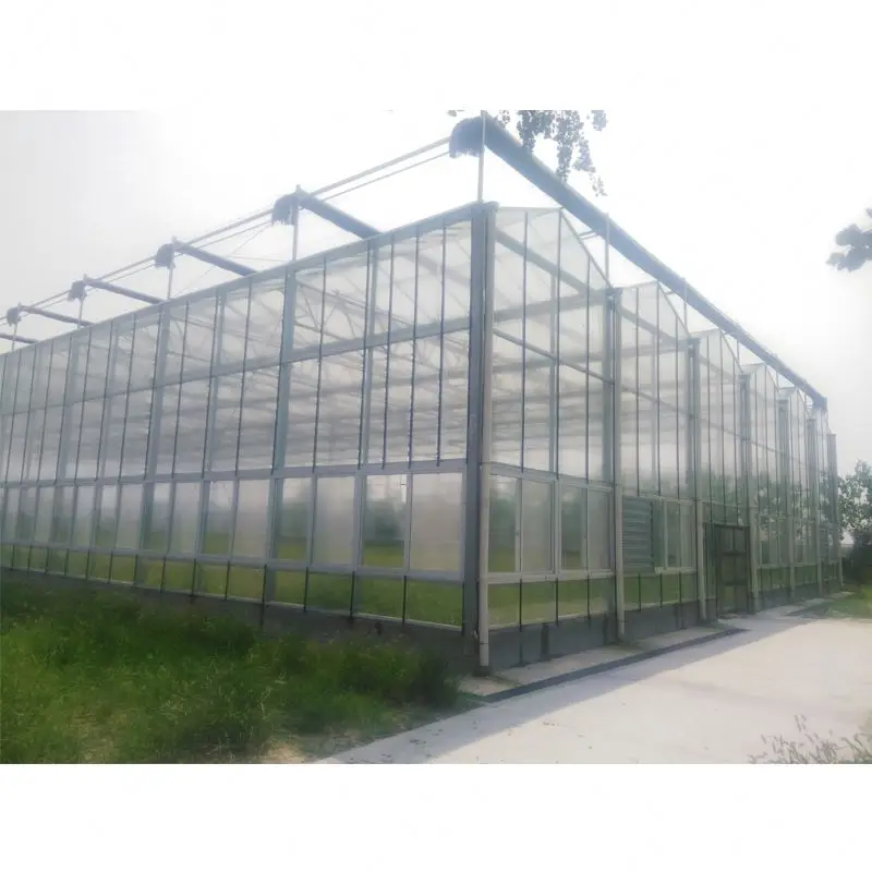 
multi-span glass hydroponic growing systems greenhouse sale 
