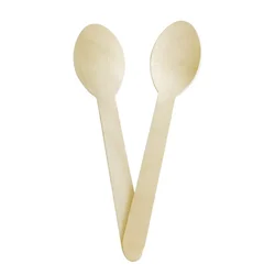 China supplier natrual bio degradable cheap edible ice cream wooden spoons