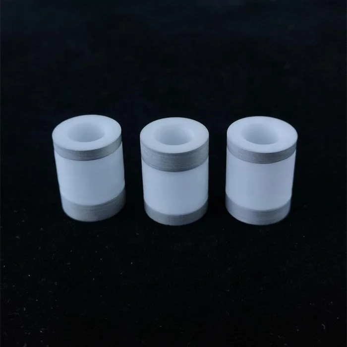 Customized OEM Metallized Ceramic Insulators for Vacuum Brazing