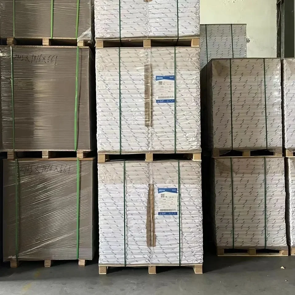 Hot Sell 70g 80g Offset Roll Paper White Printing Woodfree Paper Offset Printing Paper