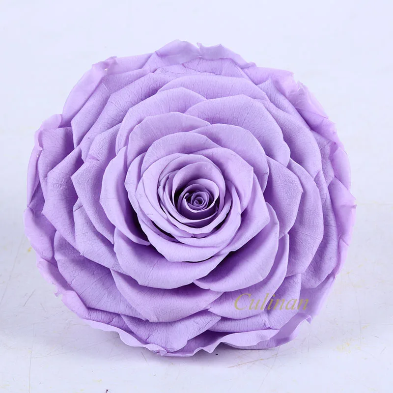Culinan Wholesale Freeze Dried Roses Supplier Preserved Rose Preserved Flower Rose For Online Flowers Business