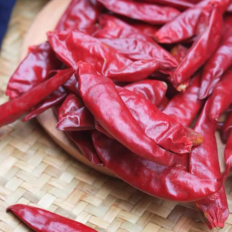 High Quality Food Grade Red guajillo  Chilli