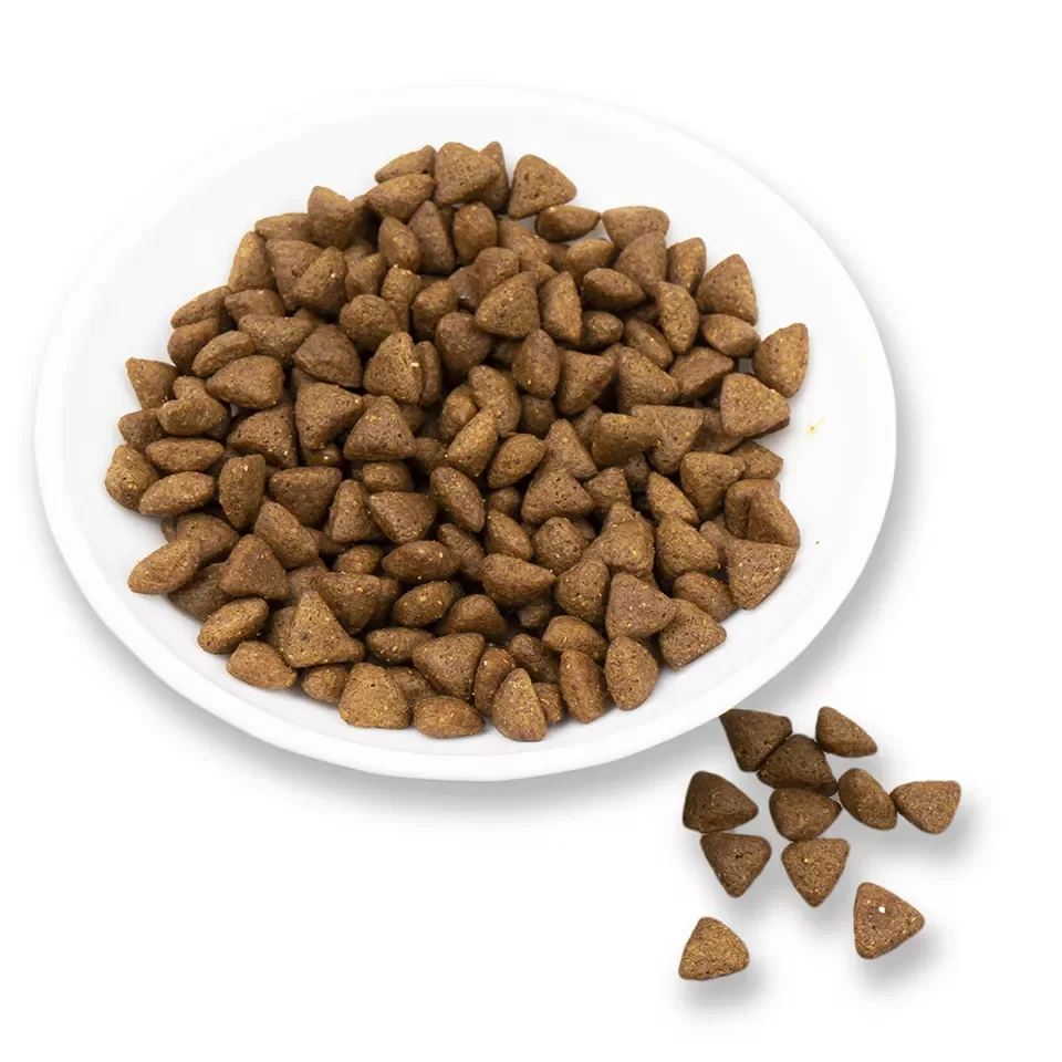 Custom Dogs Food Factory Exports 20kg Natural Raw Chicken Beef Flavors Fish Shapes All Age Dogs Dry Food