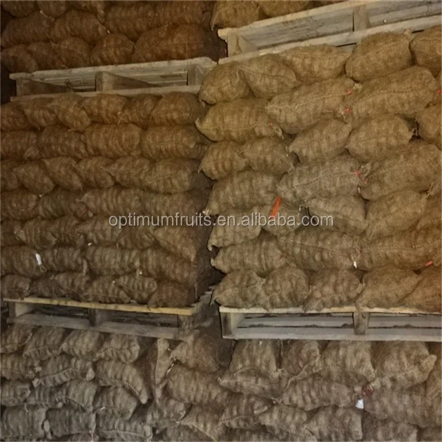 Best Chinese New Crop fresh organic Bulk Fresh Chestnut supplier chinese food wholesale frozen raw food