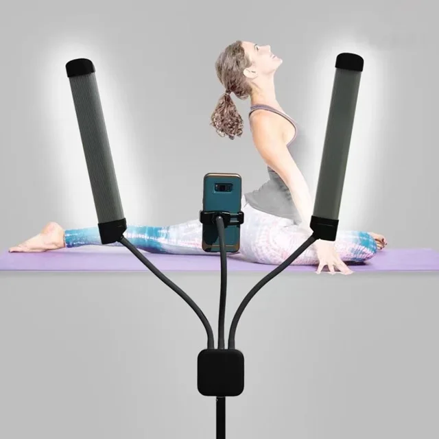 New Arrival Bicolor Remote LED Lash Light For Makeup, Tattoo Artists and Eyelash Light Beauty Eyebrow