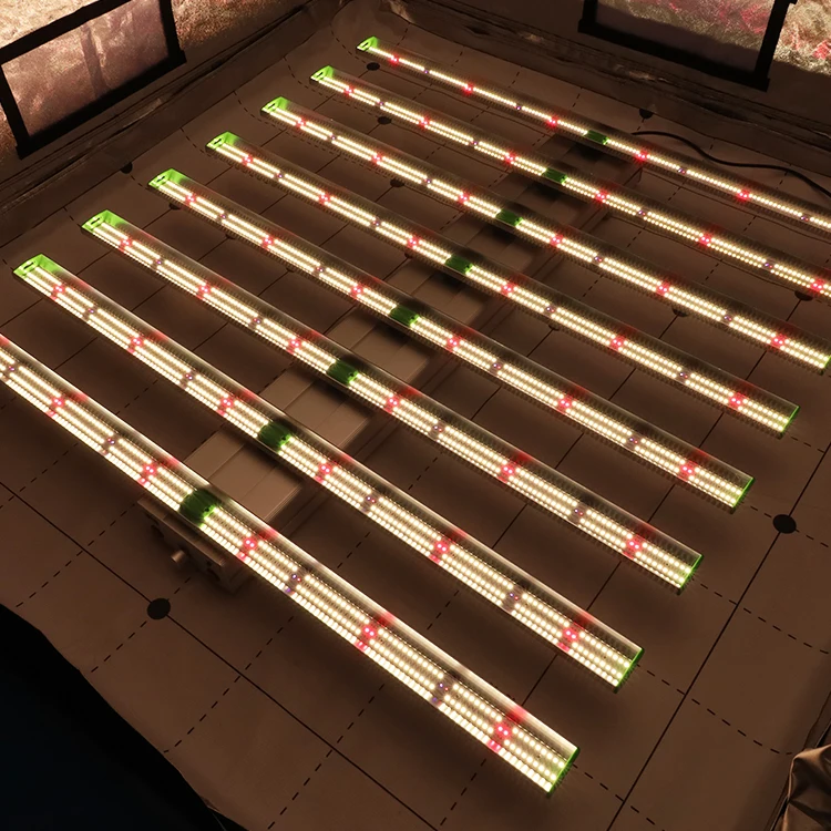 GET 10% OFF Fusionbrite led Plants Grow Light LM301H LED Full Spectrum FB-CS-720W Quantum Hydroponic 8 Bar LED INDOOR GROW LIGHT