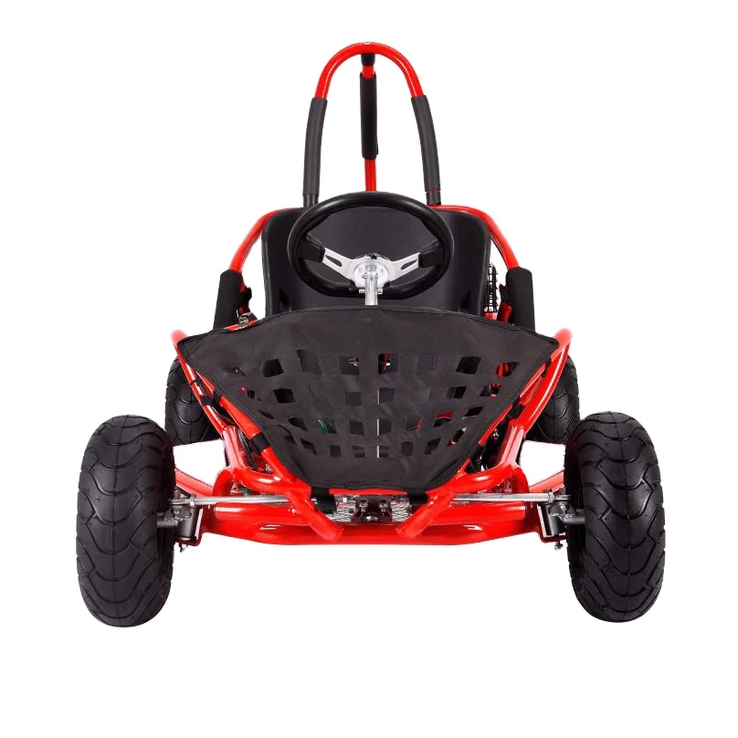 Factory Direct Amusement Park Rides Cheap 80cc Gasoline 48v 1000w Kids Electric Go Kart