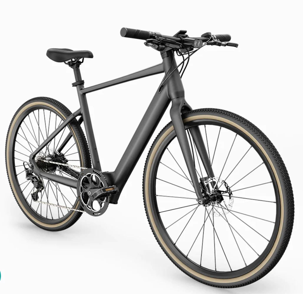 Pedaling Assit E Bike 250w Motor 36v 9ah Battery 25km/H Speed 700*40c Adult E Bike Electric Bicycle