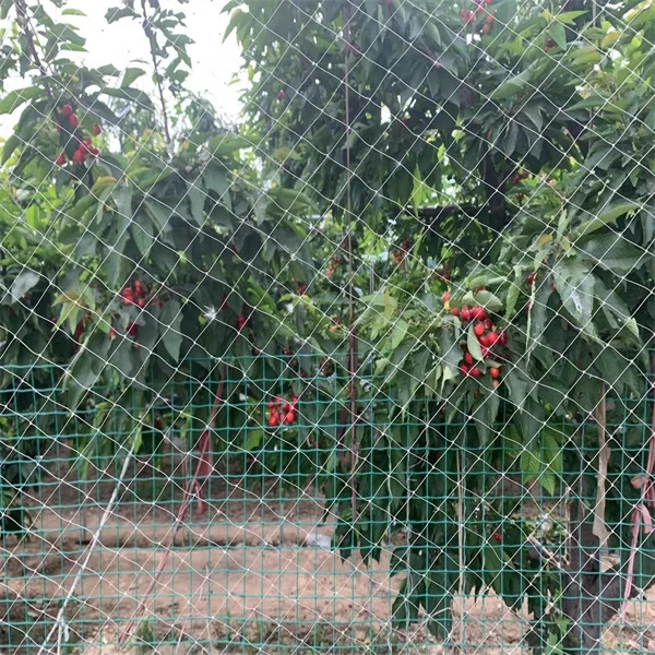 bird mist capture catching netting net bird nets for catching birds