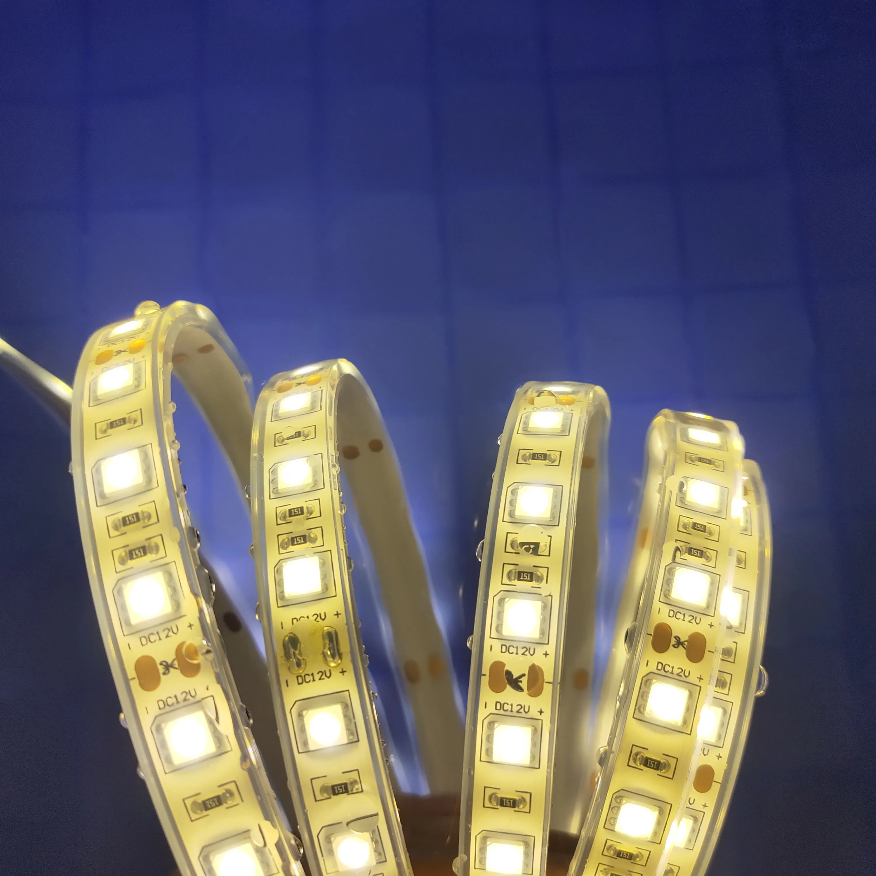 Waterproof LED strip light smd5050 12V 24V led lighting led flexible 24v led strips