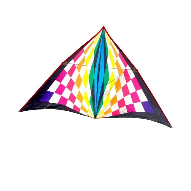 
Easy flying colorful delta kite 