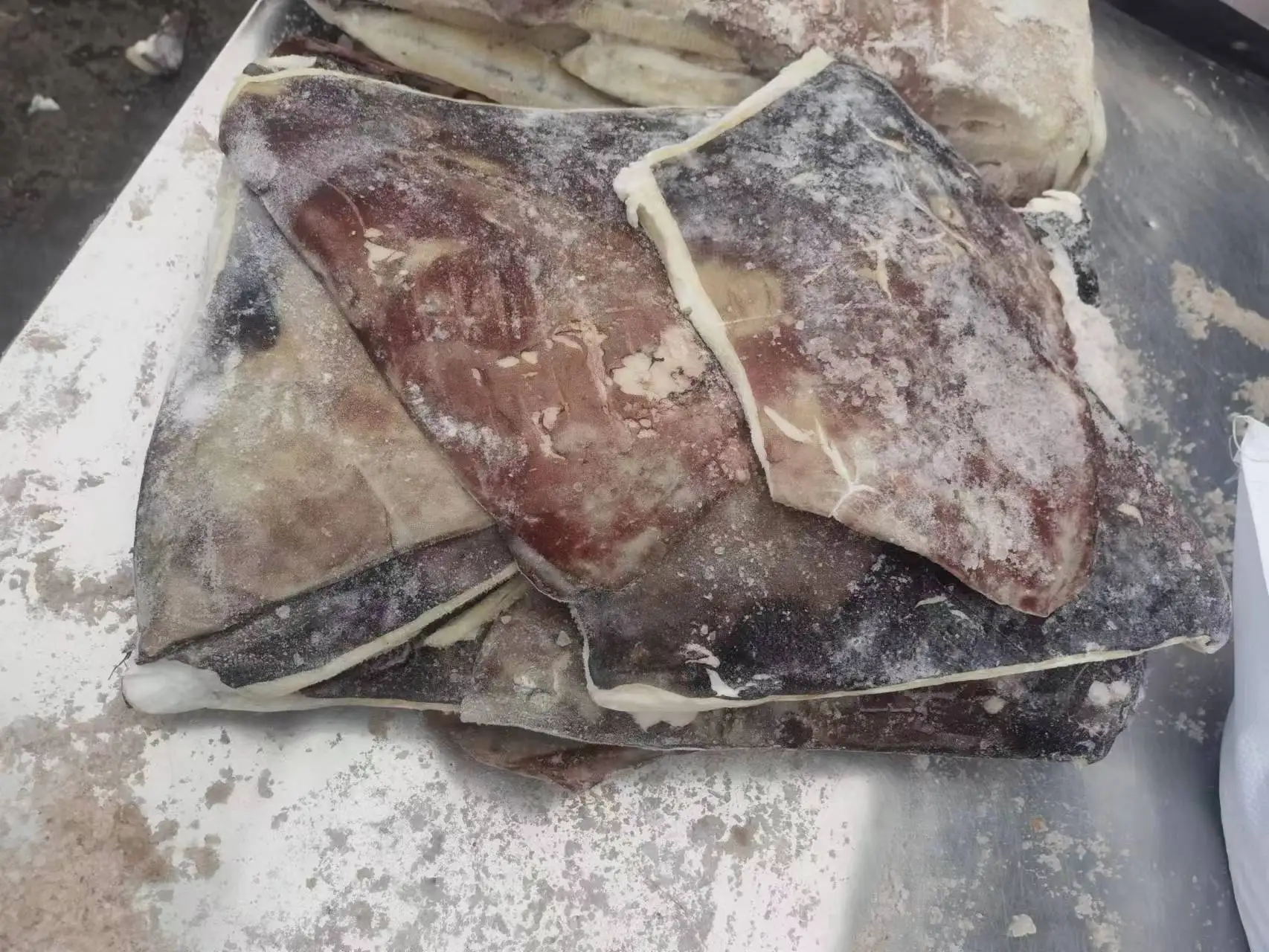 Frozen squid wing hot selling