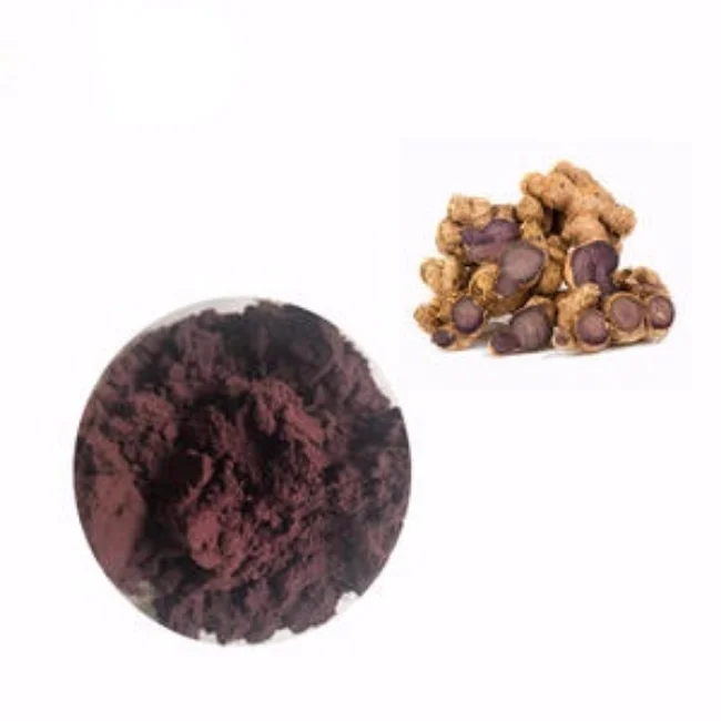Youth Wholesale Organic Kaempferia Parviflora Black Ginger Extract Powder
