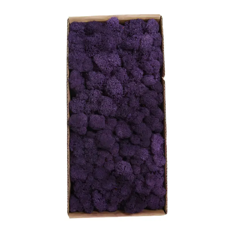 HQSLP wholesale high quality home office decoration natural reindeer pole moss leucobryum glaucum preserved moss