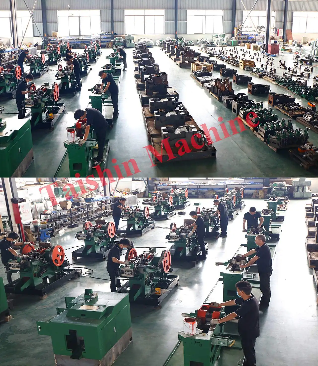 Thumb Knurled Screw Making Machine Price