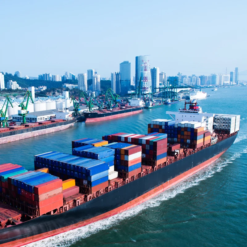 Sea Freight Shipping Agent China To Usa Ddp Freight Forwarder Sea Cargo Freight Agent