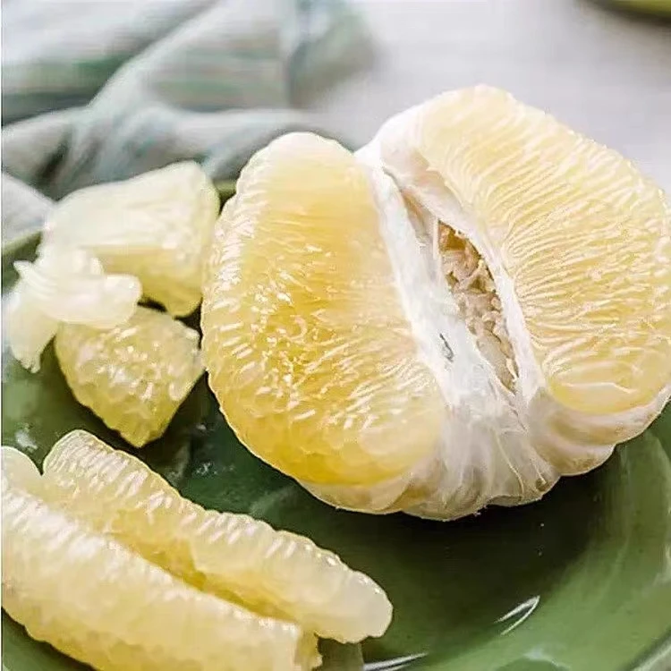 Chinazhangzhou honey pomelo grapefruit pomelo fruit freshly picked large pomelo Fresh