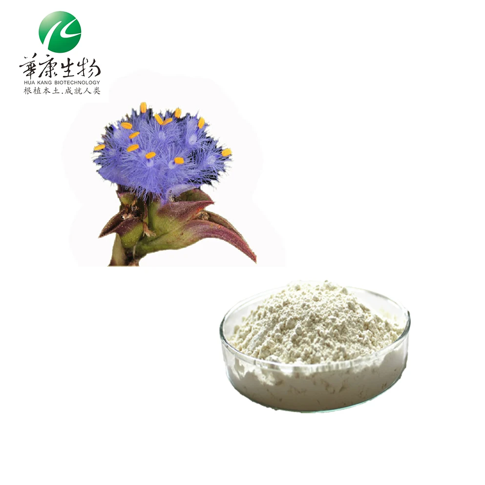Wholesale Bulk Cyanotis Arachnoidea Extract 98% Beta Ecdysterone Powder