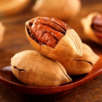 Healthy Snack Peacan Nuts Pecan in Shell and No Shell