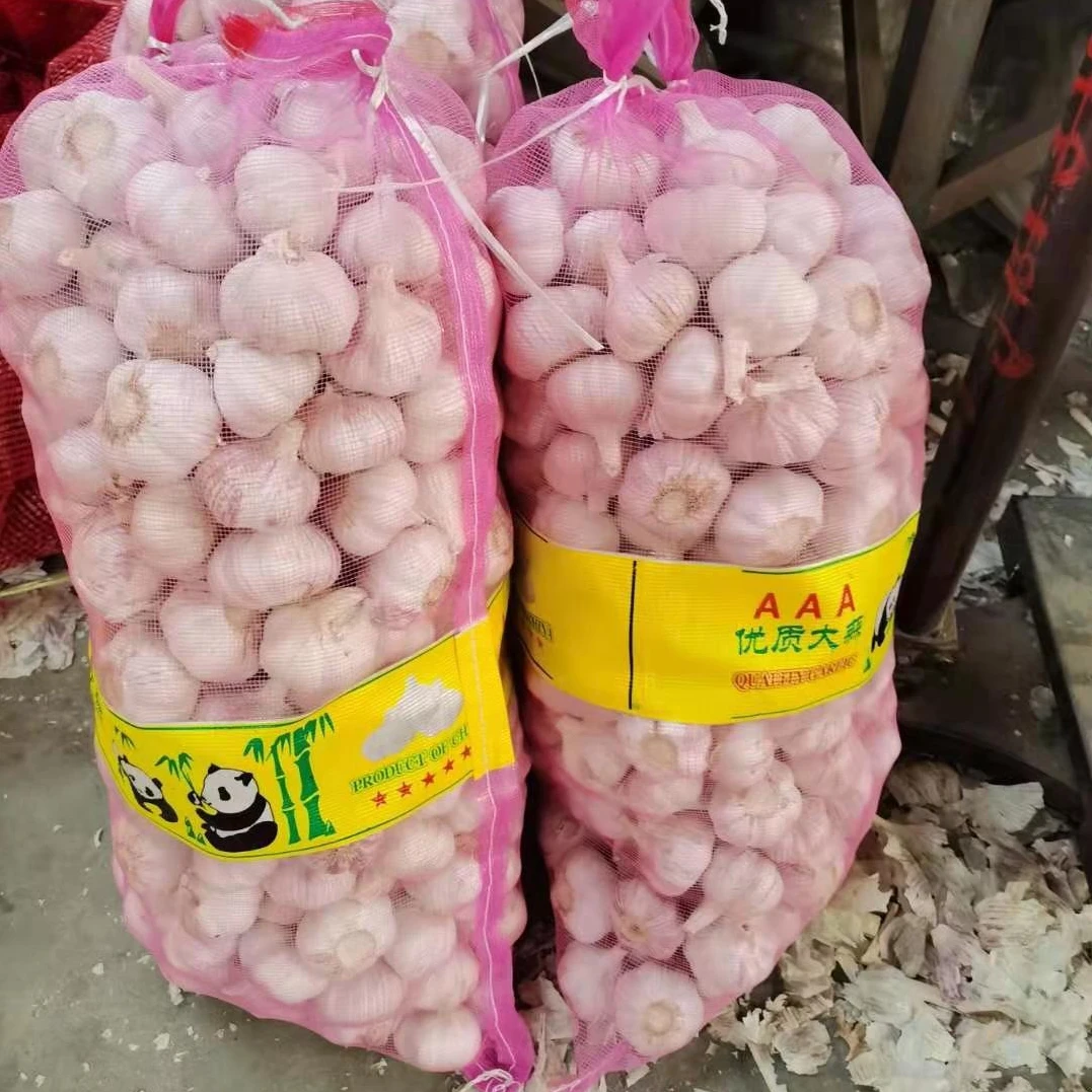 Alho Fresco 10kg Box Packing Fresh China 2023 Crop Garlic Price