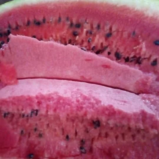 
Wholesale price bulk summer fresh organic watermelon for sale 