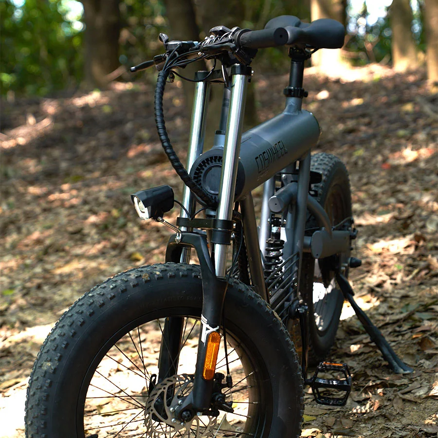 Coswheel T20 E-Bicycle 48V Eu Europe Warehouse Electric Road Fat Tire Mountain Dirt Bike E-Bike Electric Bicycle Ebike