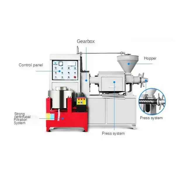 Small Commercial Home Mini Groundnut Walnut Pumpkin Sesame Avocado Peanut Palm Coconut Sunflower Seed Oil Press Machine