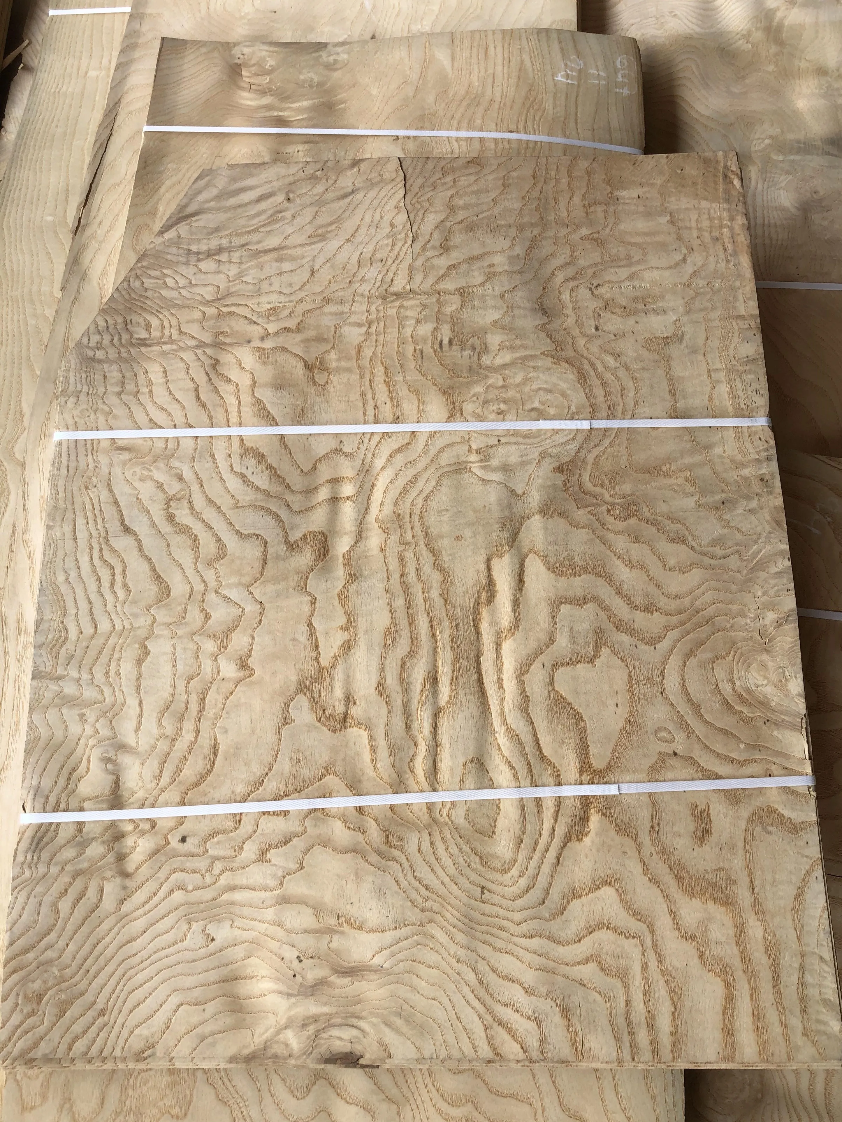 New Arrival Natural Ash Burl Veneers Sheet Veneer Wood AA Natural White Ash Burl Wood Veneers Flooring Furniture